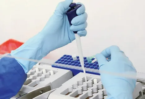 The Metabolic Dimension of Peptide Research: What the Science Is Exploring